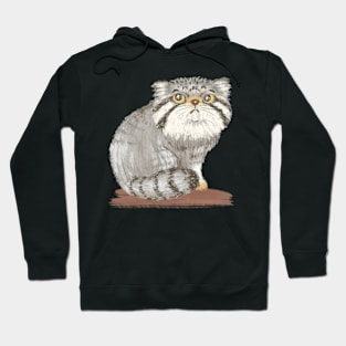 Otocolobus manul Hoodie